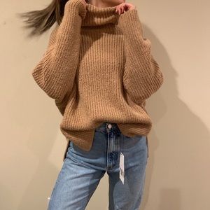 Zara Knit Turtleneck Sweater